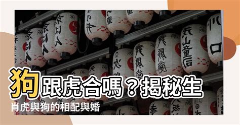 虎跟龍合嗎|【龍跟虎合嗎】龍虎相配：屬龍屬虎婚姻、兄弟、事業合拍狀況全。